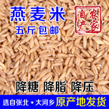 2015农家自产有机燕麦米 五谷杂粮燕麦米仁 坝上莜麦裸燕麦粒500g