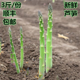 蒡蒡康新鲜芦笋3斤 芦笋新鲜蔬菜龙须草
