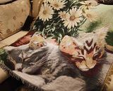 田园猫咪粗棉线毯棉麻雪尼尔编织地毯田园北欧个性客厅地毯沙发巾
