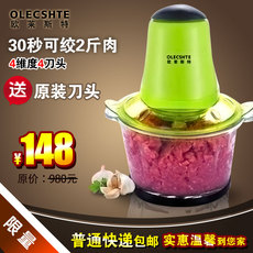 顺丰包邮 电动绞肉机家用小型搅馅切菜碎肉机打蒜蓉辣椒蔬...