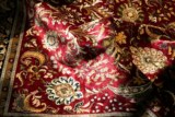 波斯丝毯印度克什米尔手工挂毯地毯204*123厘米430道高密度收藏级