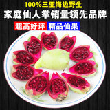 海南三亚 新鲜水果 仙人掌果 加蜂蜜泡水喝味道很棒 10斤