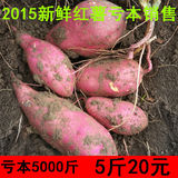 新鲜红薯农家小红薯5斤香蕉番薯红皮黄心生地瓜红心山芋PK小香薯