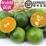 【顺丰包邮】海南新鲜水果 青金橘 小柠檬 饮品店水果青金桔 3斤
