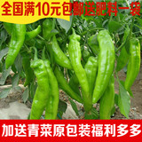 包邮超汴椒一号种子阳台庭院盆栽四季种植蔬菜种菜辣椒种子青椒籽