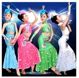 傣族舞蹈演出服装孔雀舞民族舞蹈服装女装傣族裙子表演服饰