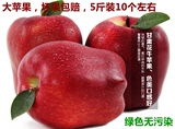 5斤包邮甘肃天水花牛苹果水果红元帅蛇果新鲜宝宝吃粉苹果 面苹果