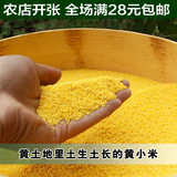 黄小米 糯小米糯黄米农家自种农产品杂粮有机小黄米 谷米 250g