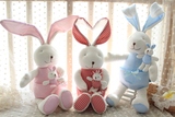 韩国毛绒玩具儿童婴幼儿宝宝益智玩偶公仔布娃娃生日礼物卡通兔