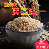 买3送1 糙米 东北大米新米糙米全胚芽米玄米活米粗粮五谷杂粮450g
