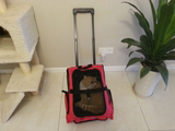 两用双肩包狗狗背包外出便携包 宠物拉杆箱 猫咪旅游出行包 特价