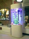 包邮 亚克力鱼缸 椭圆形 生态水族箱免换水 鱼缸 独立式中型 造景