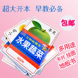 超大挂图 宝宝0-1-3岁汉语拼音数字水果卡片教具儿童看图识字挂图