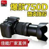 Canon佳能数码单反相机 750D/18-135 STM 佳能750d套机全国联保