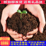 盆栽肥料花卉植物有机营养土 500克养花土 种菜营养土 无菌土壤