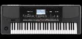 KORG PA300/PA-300 科音合成器 编曲键盘合成器 送原装踏板 包