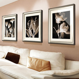 迪川 欧式植物花卉沙发背景墙壁画客厅装饰画有框画卧室书房挂画