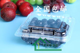 包邮批发水果蔬盒保鲜塑料盒125克带盖透明100只一次性蓝莓包装盒