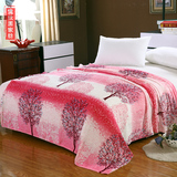 夏季法兰绒薄毛毯床单学生沙发毯子珊瑚绒毯单双人午睡毯子空调毯