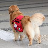 宠物背包外出便携式狗包 可折叠大狗自背包 金毛萨摩大型犬旅行包