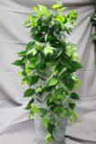 仿真植物绿植 藤条藤蔓 绿萝叶藤壁挂 塑料假花装饰吊篮花卉