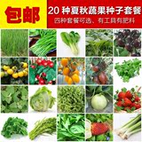 特价阳台蔬菜春夏播蔬菜种子套餐包邮20个品种四季易种