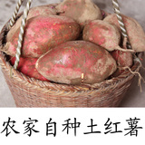 宝宝爱吃2015新货新鲜地瓜红薯番薯农家自种黄心山芋紫薯浙江特产