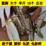 野生螃蟹野生梭子蟹蟹脚 新鲜蟹钳 蟹腿新鲜海鲜 水产 新鲜水产