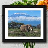 非洲大象长颈鹿风景有框装饰画 乞力马扎罗山草原客厅卧室挂画