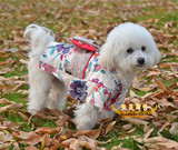 新款春冬款女装日本和服宠物衣服 潮流小狗衣 宠物服饰用品批发