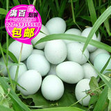 绿壳鸡蛋 10枚乌鸡蛋 绿皮鸡蛋 新鲜土鸡蛋农家散养 武汉满百包邮