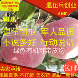 烟台苹果水果山东栖霞苹果孕妇新鲜红富士苹果产地直销10斤包邮80