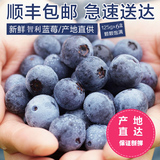 【仙庆】智利进口新鲜蓝莓125g*6盒装蓝莓鲜果 新鲜水果 顺丰包邮