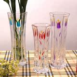玻璃透明加厚花瓶 时尚简约现代家居用品 富贵竹批发客厅餐桌包邮
