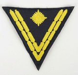 美国代购 军迷用品臂章肩章补丁纪念章二战 德国海军老兵徽章刺绣