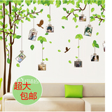 包邮绿色记忆树照片墙可移除卧室客厅沙发电视背景贴相片树墙贴