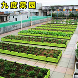 [转卖]家庭阳台种菜盆 3平方21联屋顶蔬菜种植箱 特大树脂组合
