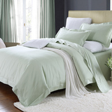 高级欧式床上用品100支全棉纯棉床笠床罩4四件套1.5 1.8米浅绿色