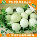 【维康庄园】农家散养土鸡蛋有机乌鸡蛋 绿壳鸡蛋 新鲜草鸡蛋20枚
