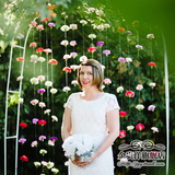 欧式结婚用品装饰道具背景装饰帘康乃馨玫瑰花精油皂花拍照道具