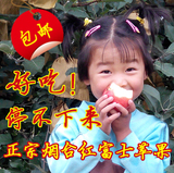 新鲜水果烟台苹果山东特产红富士苹果精品水晶富士苹果75#果5斤