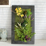 仿真多肉植物相框壁挂花卉墙饰木质相框家居饰品装饰画框植物墙