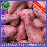 新鲜地瓜小番薯有机绿色富硒紫薯无农药健康红心红薯2500g包邮