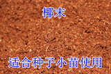 进口椰块 君子兰土 种子苗 君子兰专用基质 君子兰营养土生根神器