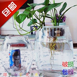 包邮盆栽鹅蛋水培玻璃花瓶透明大号绿萝水培花盆器皿水养花卉容器