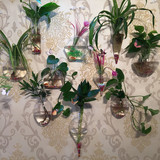 原创悬挂式墙壁壁挂玻璃花瓶 多用途透明水培花瓶小鱼缸 新家装饰