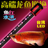 水族龙鱼缸照明灯龙鱼专用led灯红龙罗汉鹦鹉上色增红潜水灯