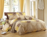 床上四件套纯棉 2.0m床单双人床特价1.51.8韩式磨毛全棉加厚保暖