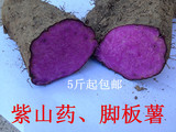 新鲜紫大薯 紫山药 紫淮山 脚板薯 紫玉淮山有机种植 5斤包邮