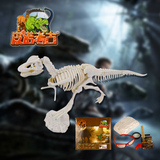 正品皮诺考古 创意DIY玩具 挖掘考古恐龙化石骨架模型 经典拼装